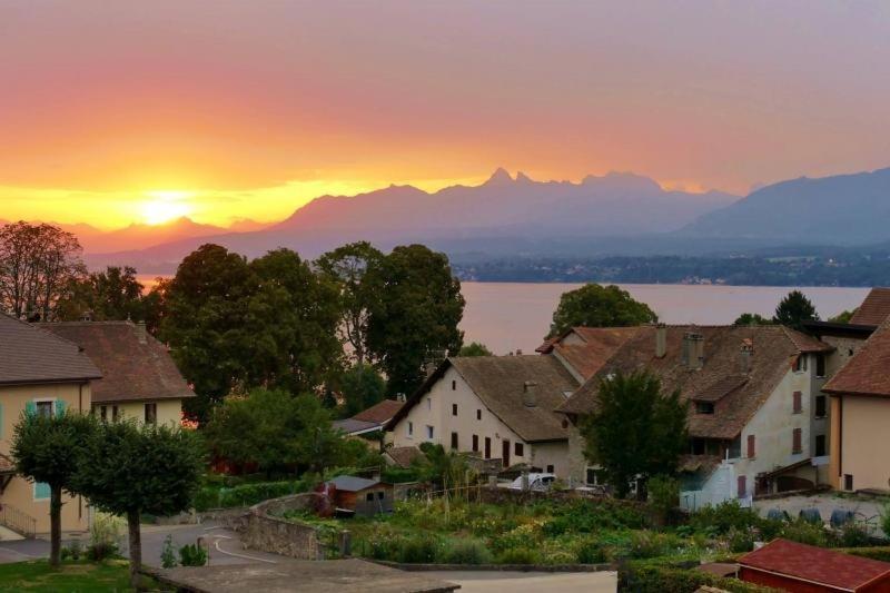 Appartement Cosy Et Confortable A Deux Pas Du Lac Excénevex Eksteriør bilde